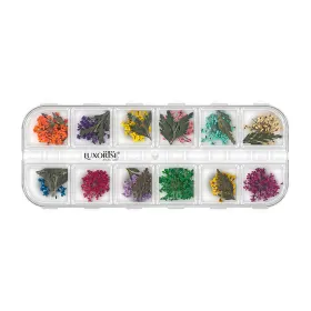 Flori Naturale Uscate - Eleganță și Versatilitata flori naturale uscate - Flori Uscate Unghii LUXORISE - Blissful Bloom, 12 modele