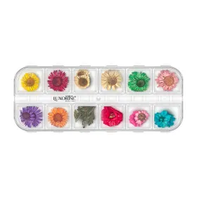 Flori Naturale Uscate - Eleganță și Versatilitata flori naturale uscate - Flori Uscate Unghii LUXORISE - Flower Dream