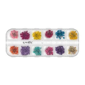 Flori Naturale Uscate - Eleganță și Versatilitata Flori Naturale Uscate pentru Unghii LUXORISE - Flower Romance