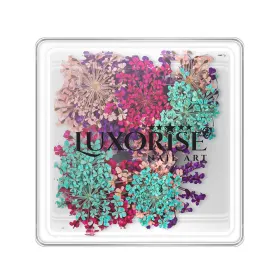 Flori Naturale Uscate - Eleganță și Versatilitata Flori naturale uscate pentru unghii LUXORISE - Flowers Spice