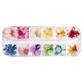 Flori Naturale Uscate - Eleganță și Versatilitata Flori Uscate Unghii - LUXORISE Grace Touch, 12 modele