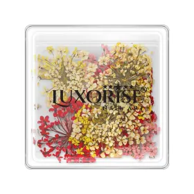 Flori Naturale Uscate - Eleganță și Versatilitata Flori Uscate Unghii LUXORISE - Mystic Flowers
