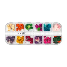 Flori Naturale Uscate - Eleganță și Versatilitata Flori naturale uscate - Rainbow Bloom, 12 modele
