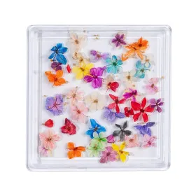 Flori Naturale Uscate - Eleganță și Versatilitata Flori Naturale Uscate - Rainbow Flowers