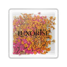 Flori Naturale Uscate - Eleganță și Versatilitata Flori Uscate Unghii LUXORISE - Secret Blossom