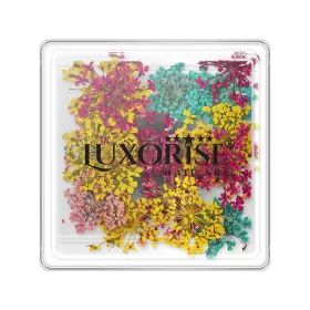 Flori Naturale Uscate - Eleganță și Versatilitata Flori Uscate Unghii LUXORISE - Summer Mirage