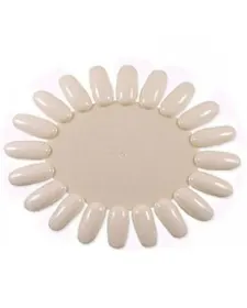 Tipsuri - Display de prezentare pentru unghi tipsuri display unghii Margareta prezentare Natur Clasica 20 pozitii