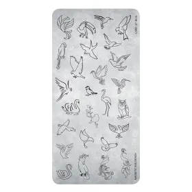Matrita unghii metalica, Birds 27